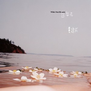 Listen to 白梨花 (完整版) song with lyrics from 黄建威