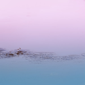 Listen to Waves song with lyrics from Study Music Library