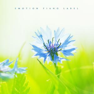 Listen to Snow song with lyrics from L.Return