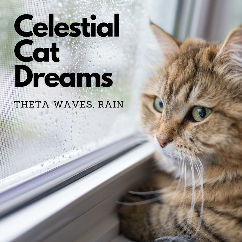 Feline Dreams Rain's Embrace Theta Waves