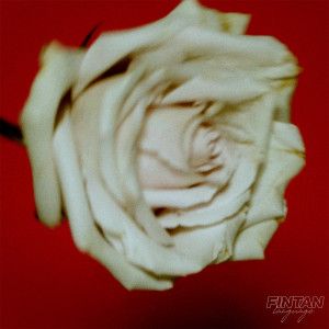อัลบัม Language ศิลปิน Fintan