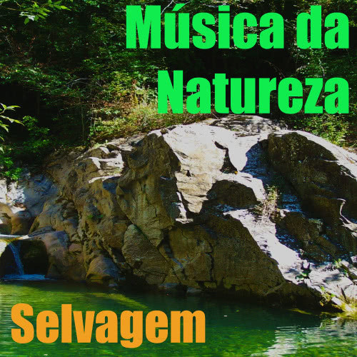 Música da Natureza