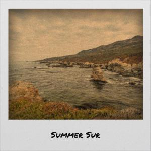 Various的专辑Summer Sur