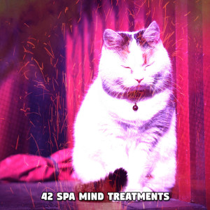 Dormir的專輯42 Spa Mind Treatments