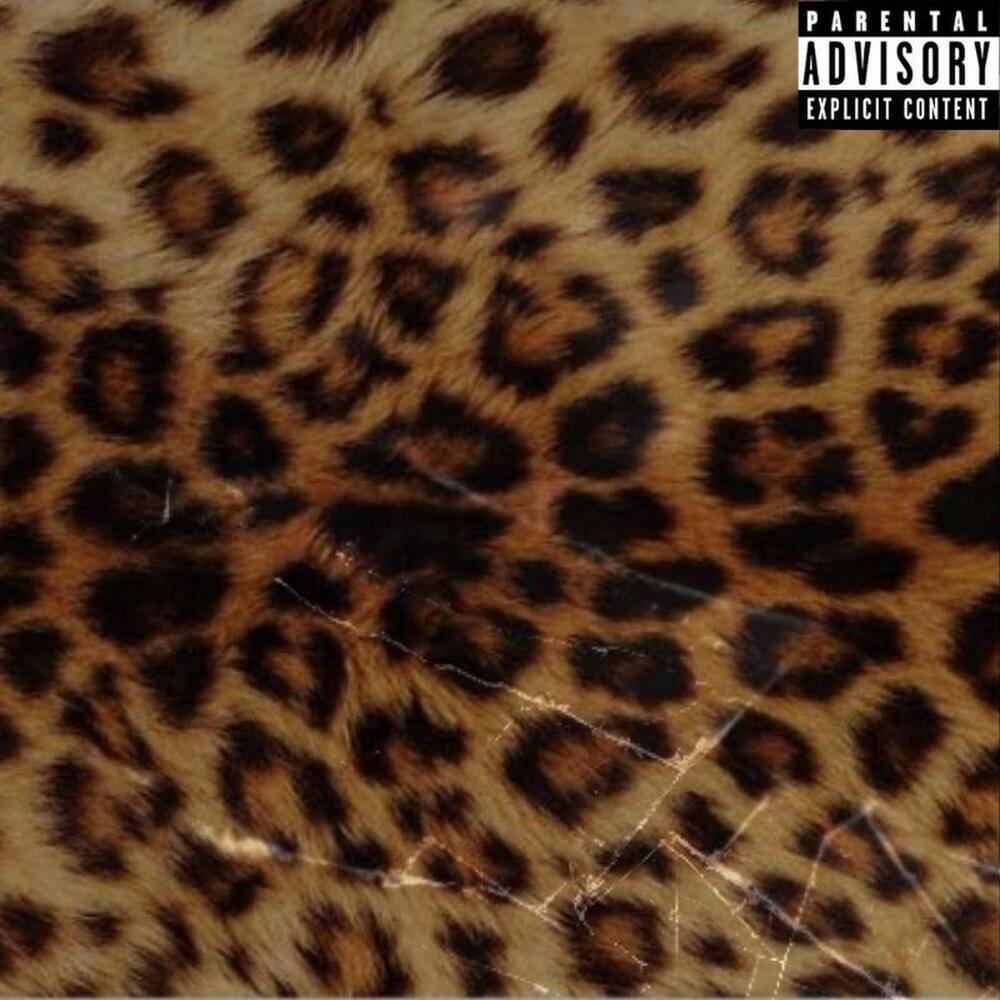 Vestido de Onça (Sped Up) (Remix|Explicit)