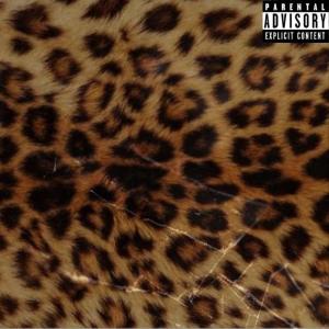 ดาวน์โหลดและฟังเพลง Vestido de Onça (Sped Up) (Remix|Explicit) พร้อมเนื้อเพลงจาก DJ Dener