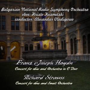 收聽Jerusalem Symphony Orchestra的Concert for Oboe and Orchestra in C Dur, H.VIIg:C1: 2. Andante歌詞歌曲