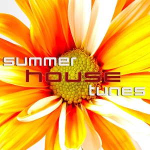 ดาวน์โหลดและฟังเพลง Got to let you know(Anthony_Martin_Remix) พร้อมเนื้อเพลงจาก Dj Chrixx