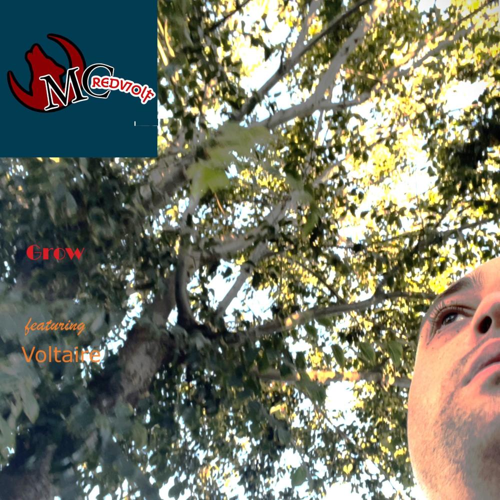 Grow (feat. Voltaire) (Explicit)
