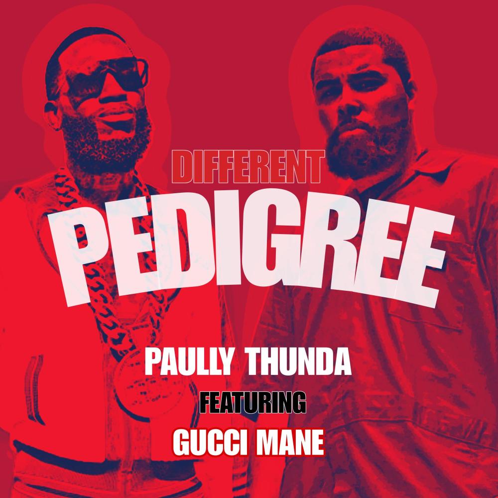 Different Pedigree (feat. Gucci Mane) (Explicit)