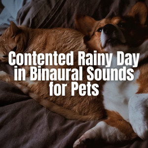 Album Contented Rainy Day in Binaural Sounds for Pets from Binaural Landscapes