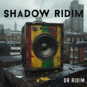 Listen to Shadow Ridim song with lyrics from Dr Ridim