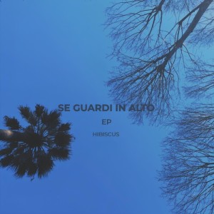 Listen to Se Guardi in Alto song with lyrics from Hibiscus