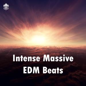 Album Intense Massive EDM Beats oleh Various Artists