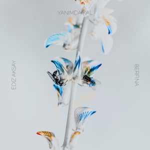 收聽Ediz Aksay的Yanımda Kal歌詞歌曲