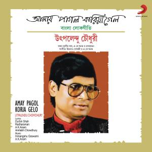 อัลบัม Amay Pagol Koria Gelo ศิลปิน Utpalendu Chowdhury