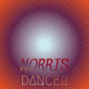 Various Artists的專輯Norris Dancer