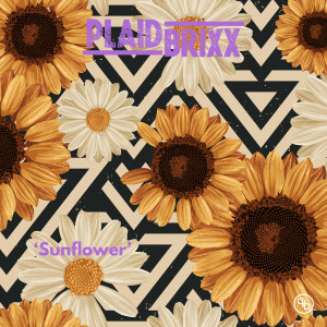 Listen to Sunflower song with lyrics from Plaid Brixx