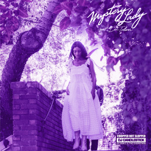 Mystery Lady (ChopNotSlop Remix)