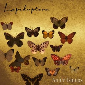 อัลบัม Lepidoptera ศิลปิน Annie Lennox