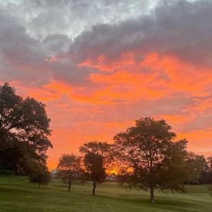 收聽Gilberto的In The Night歌詞歌曲