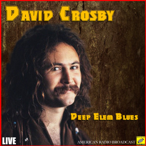 Dengarkan lagu The Wall Song (Live) nyanyian david crosby dengan lirik