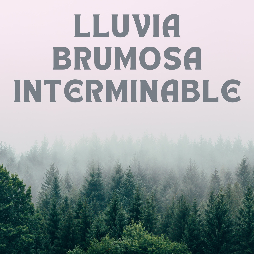 Meditación Con Lluvias