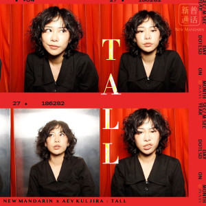 Dengarkan Tall lagu dari New Mandarin dengan lirik