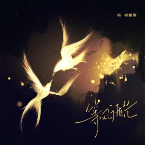 Album 等风循光 from 轻不言