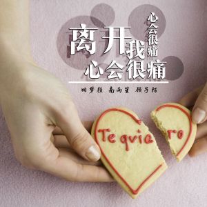 Album 离开我心会很痛心会很痛 from 顾辞