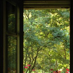 mangoes的專輯after the rain