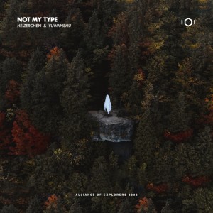 收聽Alliance of Explorers的Not My Type歌詞歌曲