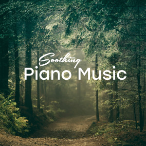 RPM (Relaxing Piano Music)的專輯Soothing Piano Music