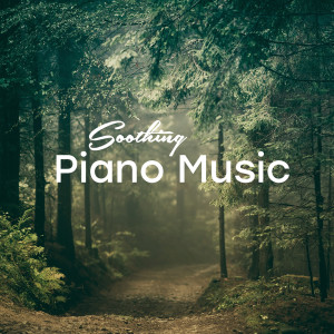 收聽RPM (Relaxing Piano Music)的Early Morning Song歌詞歌曲