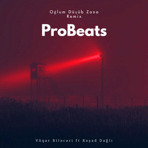 收聽ProBeats的Oğlum Düşüb Zona (Remix)歌詞歌曲