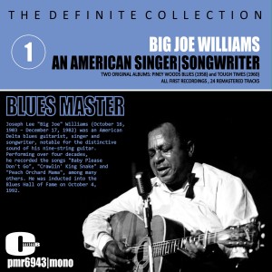 Album An American Singer, Songwriter, Blues Master, Vol. 1 oleh Big Joe Williams