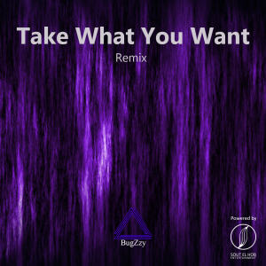 Album Take What You Want (Remix) from BugZzy
