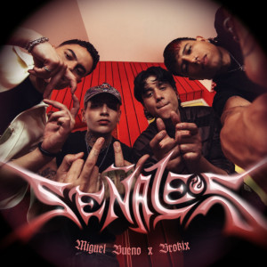 อัลบัม Señales ศิลปิน Miguel Bueno