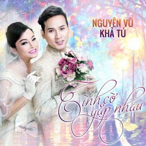 Album Tình Cờ Gặp Lại Nhau from Khả Tú