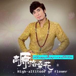 Listen to 高原格桑花 song with lyrics from 班玛扎西