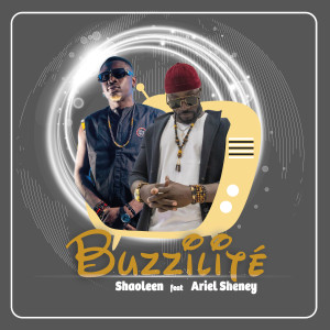 Listen to Buzzilité song with lyrics from Shaoleen