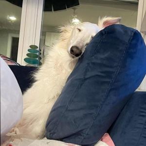 收听veryraredome的02:40歌词歌曲