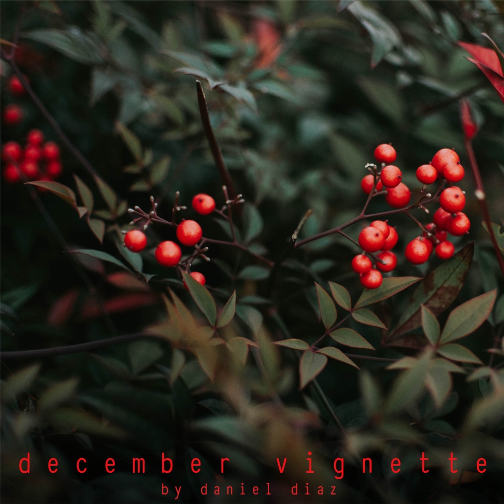 December Vignette