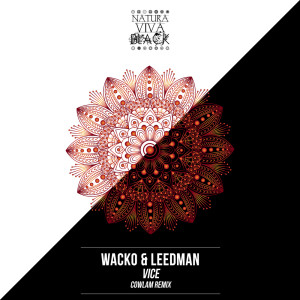 ดาวน์โหลดและฟังเพลง Aton พร้อมเนื้อเพลงจาก Wacko & Leedman