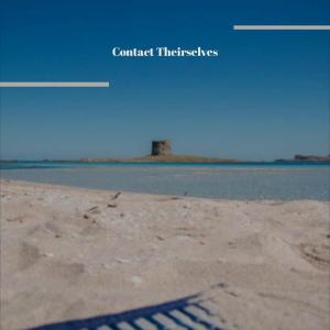Album Contact Theirselves from Various