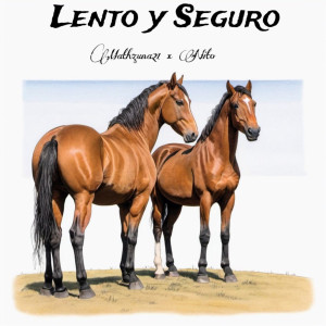 Album Lento Y Seguro from Mathzuna21