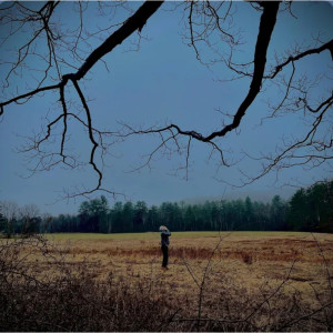 Album Let You Go from RAY IVY