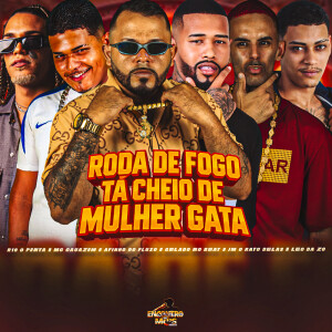 Afinho do Fluxo的专辑RODA DE FOGO TA CHEIO DE MULHER GATA (Explicit)
