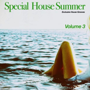 Special House Summer, Vol. 3 dari Various