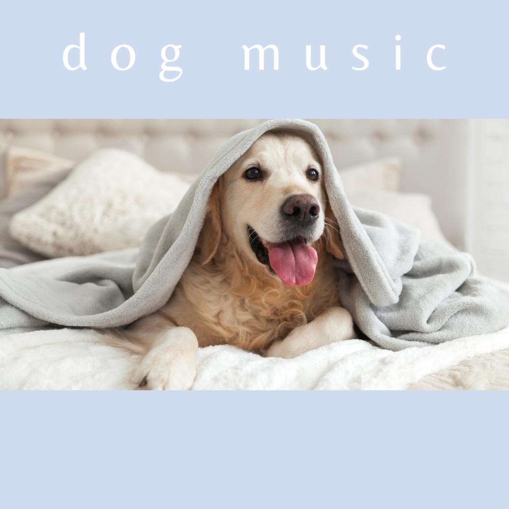 Dream Music For Dogs